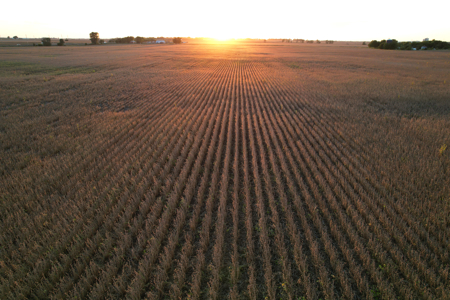 Greene County Iowa Farmland Auction - image 5