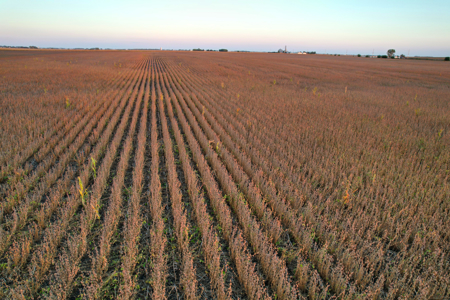 Greene County Iowa Farmland Auction - image 28