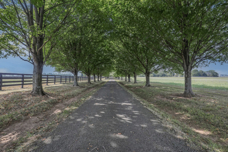 Premier equestrian estate for sale near Franklin Ky. - image 36