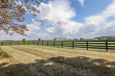 Premier equestrian estate for sale near Franklin Ky. - image 4