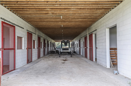 Premier equestrian estate for sale near Franklin Ky. - image 11