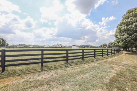 Premier equestrian estate for sale near Franklin Ky. - image 13