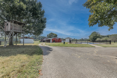 Premier equestrian estate for sale near Franklin Ky. - image 38