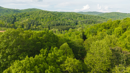 Large Land Tract for Sale in Moravian Falls NC! - image 33