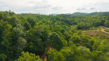Large Land Tract for Sale in Moravian Falls NC! - image 34