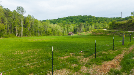 Large Land Tract for Sale in Moravian Falls NC! - image 42