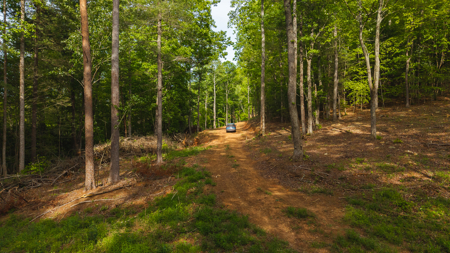 Large Land Tract for Sale in Moravian Falls NC! - image 17