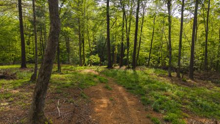 Large Land Tract for Sale in Moravian Falls NC! - image 15