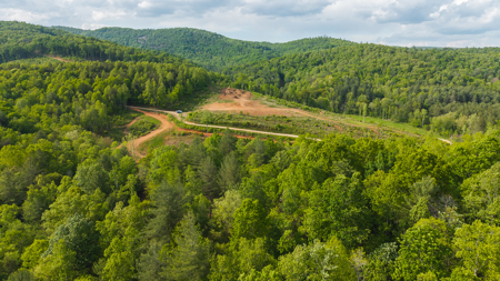 Large Land Tract for Sale in Moravian Falls NC! - image 2