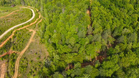 Large Land Tract for Sale in Moravian Falls NC! - image 13