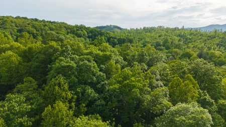 Large Land Tract for Sale in Moravian Falls NC! - image 35