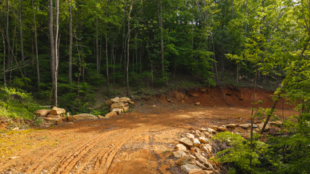 Large Land Tract for Sale in Moravian Falls NC! - image 22