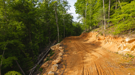 Large Land Tract for Sale in Moravian Falls NC! - image 21