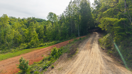 Large Land Tract for Sale in Moravian Falls NC! - image 5