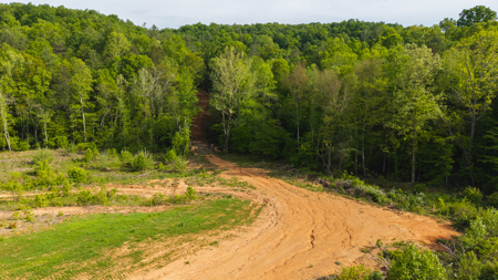 Large Land Tract for Sale in Moravian Falls NC! - image 6