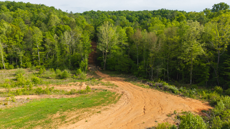 Large Land Tract for Sale in Moravian Falls NC! - image 7
