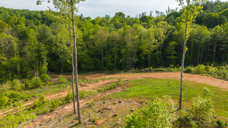 Large Land Tract for Sale in Moravian Falls NC! - image 8