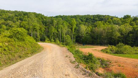 Large Land Tract for Sale in Moravian Falls NC! - image 4