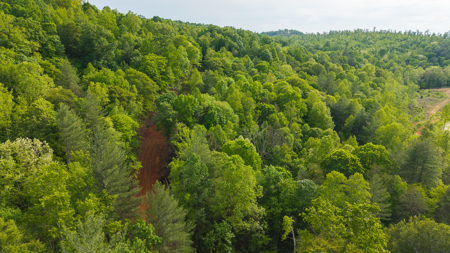 Large Land Tract for Sale in Moravian Falls NC! - image 26