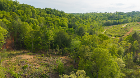 Large Land Tract for Sale in Moravian Falls NC! - image 24