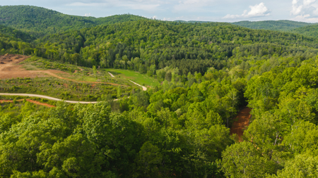 Large Land Tract for Sale in Moravian Falls NC! - image 30