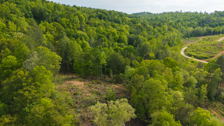 Large Land Tract for Sale in Moravian Falls NC! - image 25