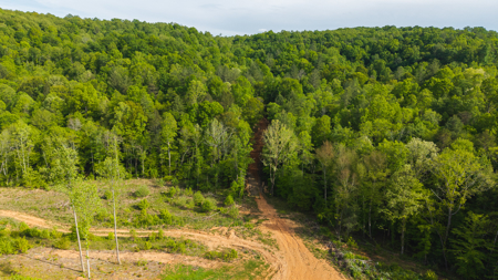 Large Land Tract for Sale in Moravian Falls NC! - image 11