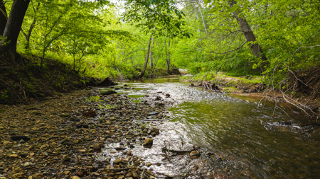 Large Land Tract for Sale in Moravian Falls NC! - image 49