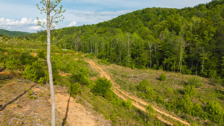 Large Land Tract for Sale in Moravian Falls NC! - image 3