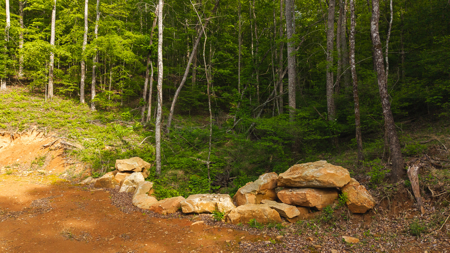 Large Land Tract for Sale in Moravian Falls NC! - image 20