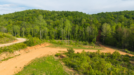 Large Land Tract for Sale in Moravian Falls NC! - image 10