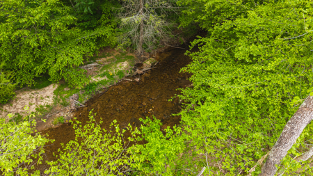 Large Land Tract for Sale in Moravian Falls NC! - image 47