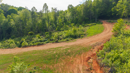 Large Land Tract for Sale in Moravian Falls NC! - image 9