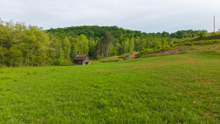 Large Land Tract for Sale in Moravian Falls NC! - image 36