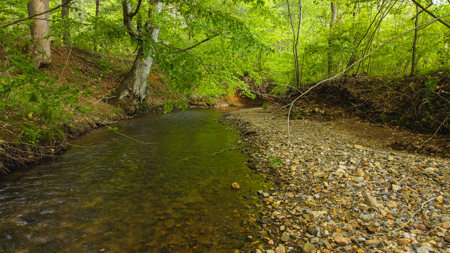 Large Land Tract for Sale in Moravian Falls NC! - image 48