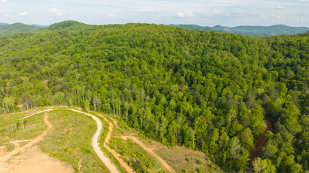 Large Land Tract for Sale in Moravian Falls NC! - image 14