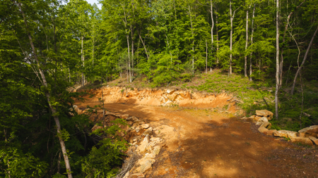 Large Land Tract for Sale in Moravian Falls NC! - image 19