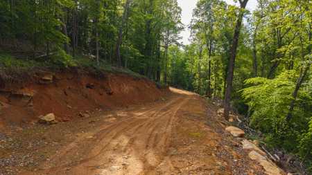 Large Land Tract for Sale in Moravian Falls NC! - image 23