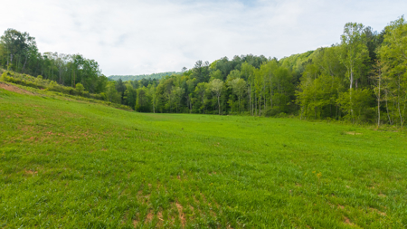 Large Land Tract for Sale in Moravian Falls NC! - image 40