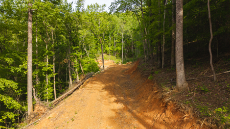 Large Land Tract for Sale in Moravian Falls NC! - image 18