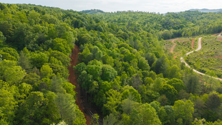 Large Land Tract for Sale in Moravian Falls NC! - image 27