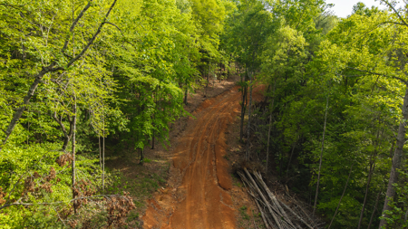 Large Land Tract for Sale in Moravian Falls NC! - image 28