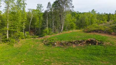 Large Land Tract for Sale in Moravian Falls NC! - image 38