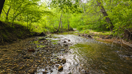 Large Land Tract for Sale in Moravian Falls NC! - image 50