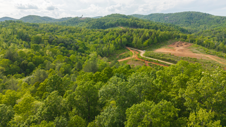 Large Land Tract for Sale in Moravian Falls NC! - image 32