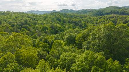 Large Land Tract for Sale in Moravian Falls NC! - image 31