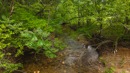 Large Land Tract for Sale in Moravian Falls NC! - image 44