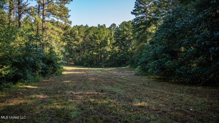 113 Acres Hunting Land with Home in Amite County, MS - image 36