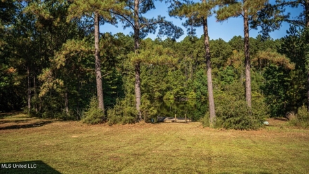 113 Acres Hunting Land with Home in Amite County, MS - image 46
