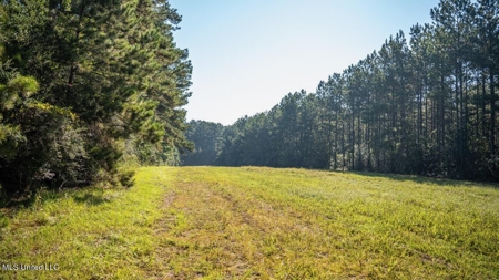 113 Acres Hunting Land with Home in Amite County, MS - image 32